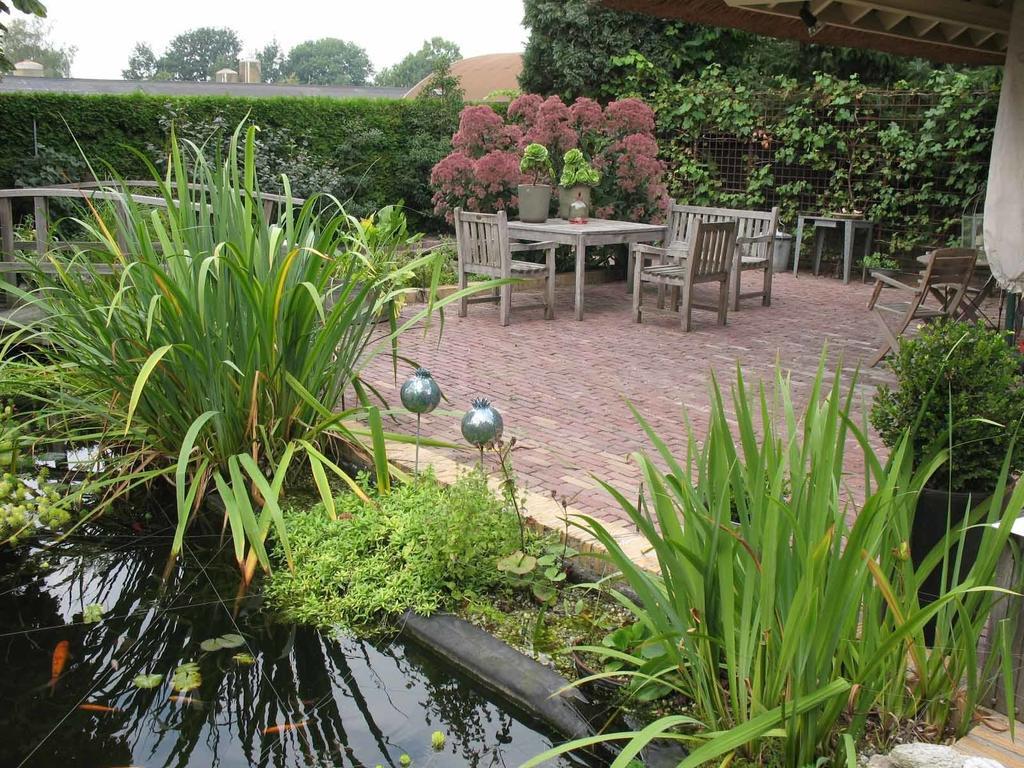 オス Altijd Zon Bed & Breakfast 部屋 写真